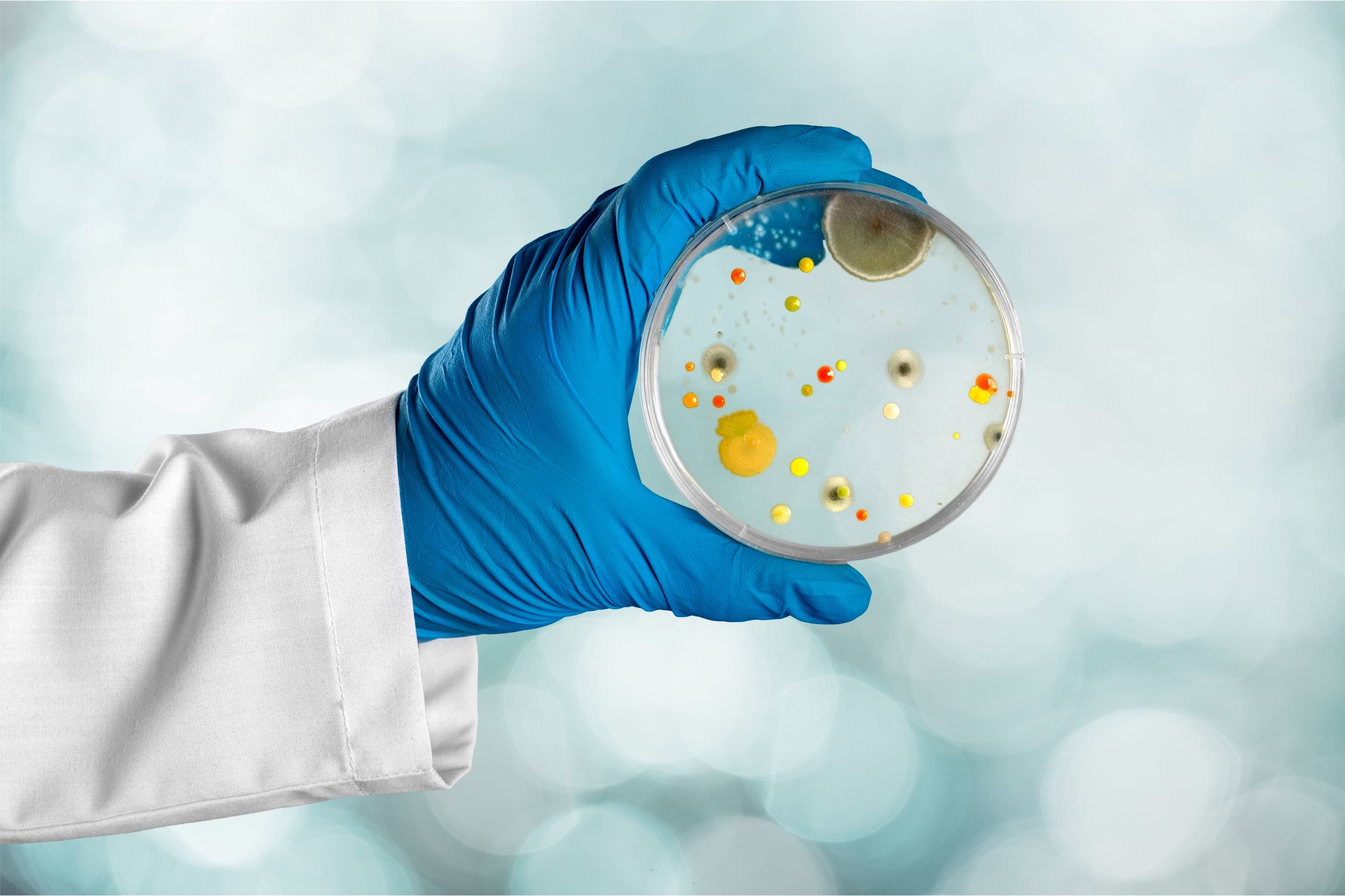 CIRS: Why Testing for Mycotoxins May not be Enough and What To Do Instead 